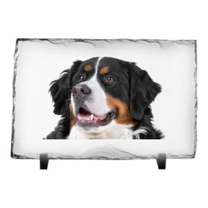 Leistenen fotolijst - 20x15 cm