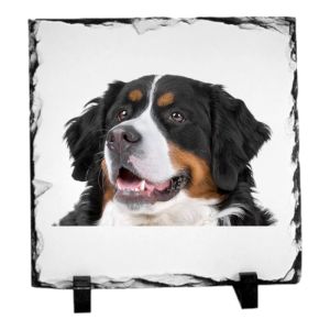 Leistenen fotolijst - 20x20 cm