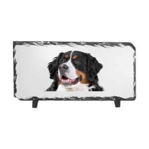 Leistenen fotolijst - 22x12 cm