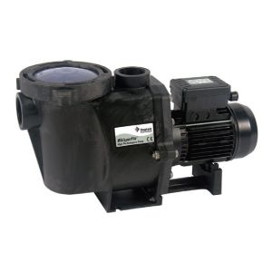 Pentair Whisperflo zwembadpomp 0,55kW 15,0m³ 220V - P-WFL-071