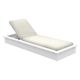 Echo Chaise - Ledge Lounger-Echo Chaise Wit